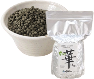 �h���C�t�[�h�@�t�@�C����