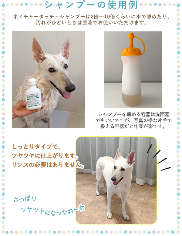 �V�����v�[�̎g�p��