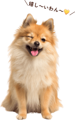 �_�����`�����`💛�^