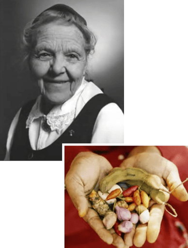 �n���i�N���[�K�[