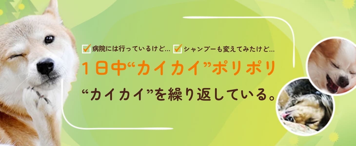 �P�����g�J�C�J�C�h�|���|���g�J�C�J�C�h���J��Ԃ��Ă���B