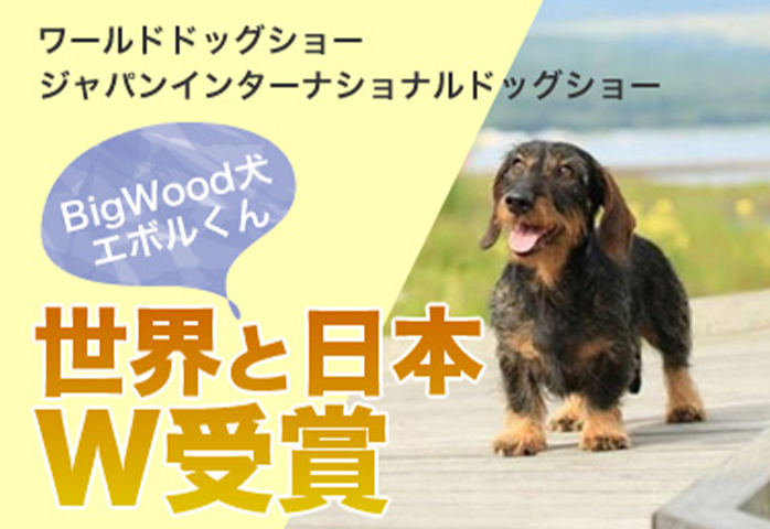 世界と日本のW受賞エボルくん