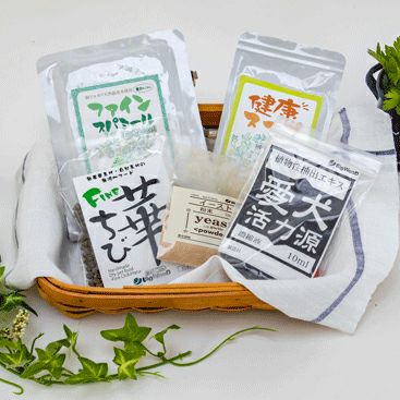 ジュニア用お試しセット